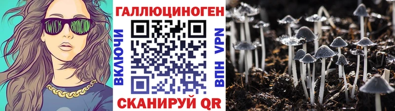Купить где  Заинск  Псилоцибиновые грибы прущие грибы 